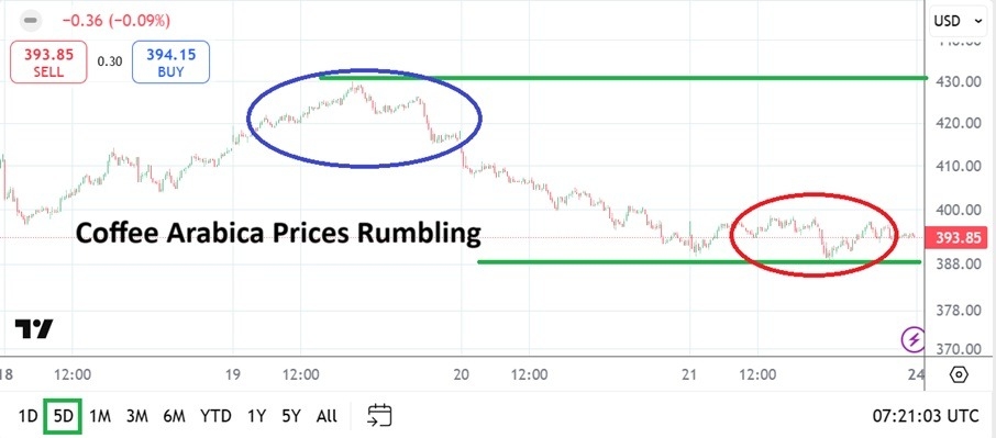 Coffee Weekly Forecast - 23/02: Volatility & Buying (Chart)